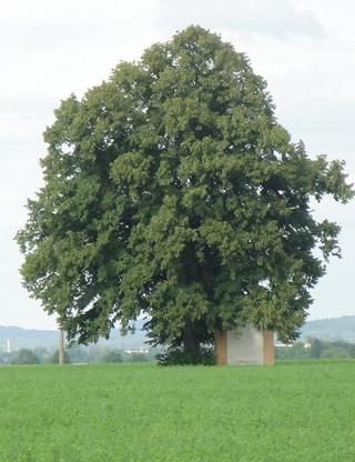 Kaplička Panny Marie.JPG