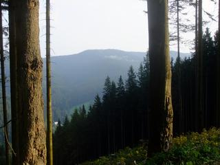 DSCF7813.JPG