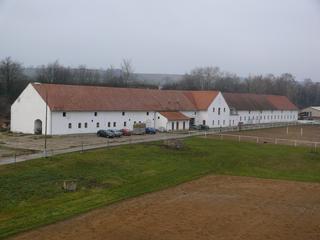 foto_kone_28.12.06_071.jpg