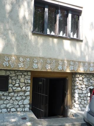 images_gal_P1010926_resize.JPG