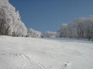 SKI areál Jasenná