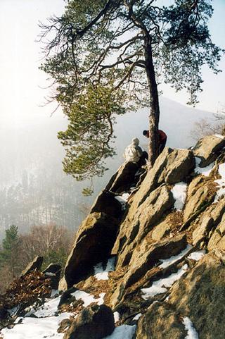 Ve Chřibech se nachází vícero horolezeckých terénů.jpg