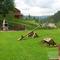 DSCN2588.JPG