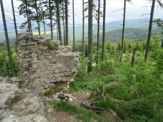Střílecký hrad pochází z období ranné gotiky.Byl postaven v druhé polovině 13.století na nejvyšším kopci zvaném Hrad,v nadmořské výšce 551 m v severozápadní části pohoří Chřibů. Založení hradu je připisováno broumovskému purkrabímu Smilovi,který se psal jako Smil ze Střílek.