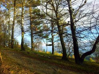 20141019_160129.jpg