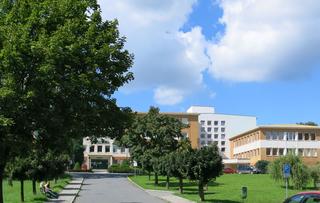 IMG_5696.jpg