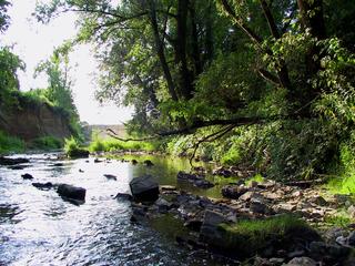 001Olšava.jpg