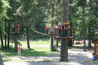 Gibon_park_5.jpg