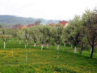 Vřesovice