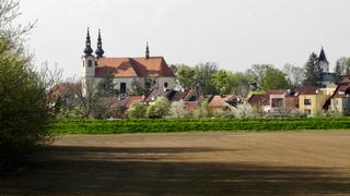 Kvasice
