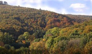 zdroj nature.hyperlink.cz