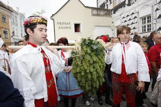 Pálavské vinobraní
