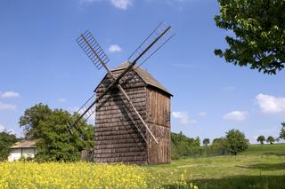 Větrný mlýn, Velké Těšany, foto Roman Bašta.jpg