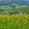 Bile_Karpaty_1-UR.JPG