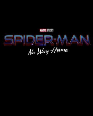 Spiderman bez domova.jpg