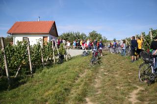 Vinařství rodiny Šupkovy