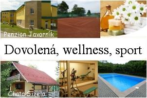 baner javorník.jpg
