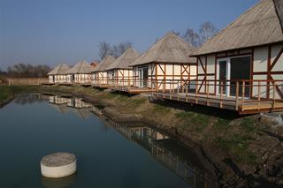 IMG_4026.jpg