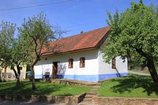 IMG_5655.JPG