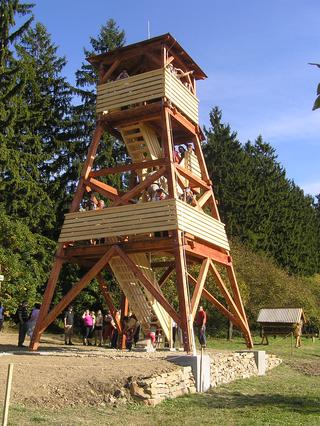 P1010101.jpg