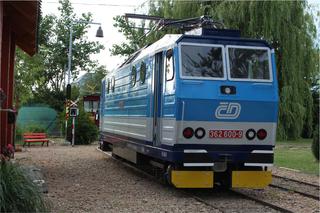 e_5.jpg
