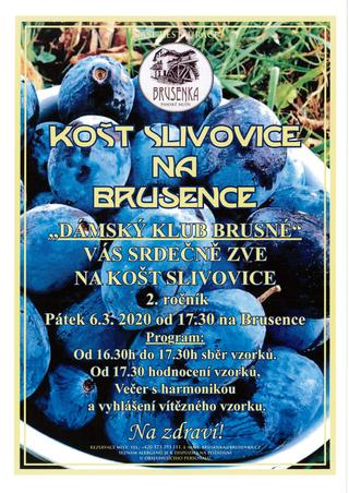 Košt slivovice na Brusence