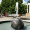 IMG_20200504_113547.jpg