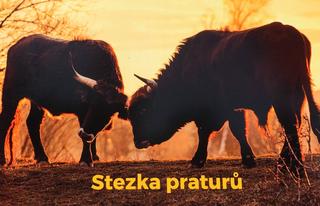 Pratur 3.jpg