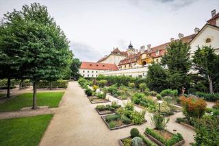 Bylinková zahrada Lu & Tiree Chmelar